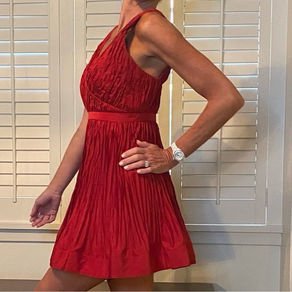 Alexis marilou crinkle mini-dress - Picture 6 of 11